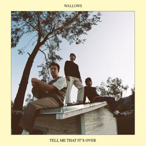 Wallows Tell Me That It's Over (Vinyl) 12" Album Coloured Vinyl