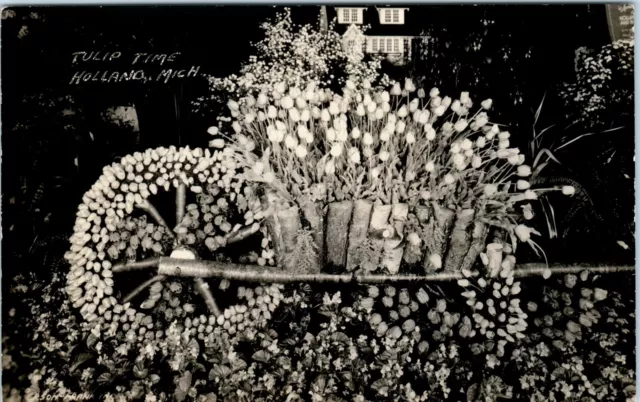 Rppc Stunning Michigan Tulip Display Holland Michigan Real Photo Postcard   D6