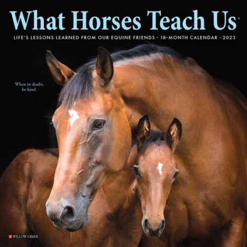 WHAT HORSES TEACH Us 2023 Mini Wall Calendar Calendar GOOD 9.91