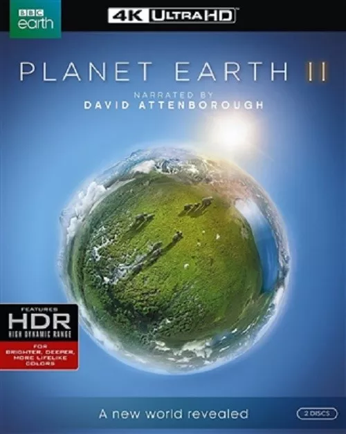 Planet Earth II Disc 2 4K UHD 4K (used) Blu-ray Only Disc Please Read