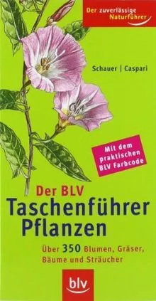 Der BLV Taschenführer Pflanzen: Mit über 350 Blumen... | Buch | Zustand sehr gut