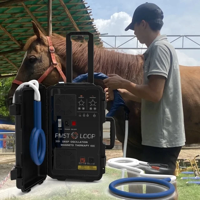 PROFESSIONAL PMST LOOP Magnetic Therapy EMTT Pemf Vet Sport Injury ...