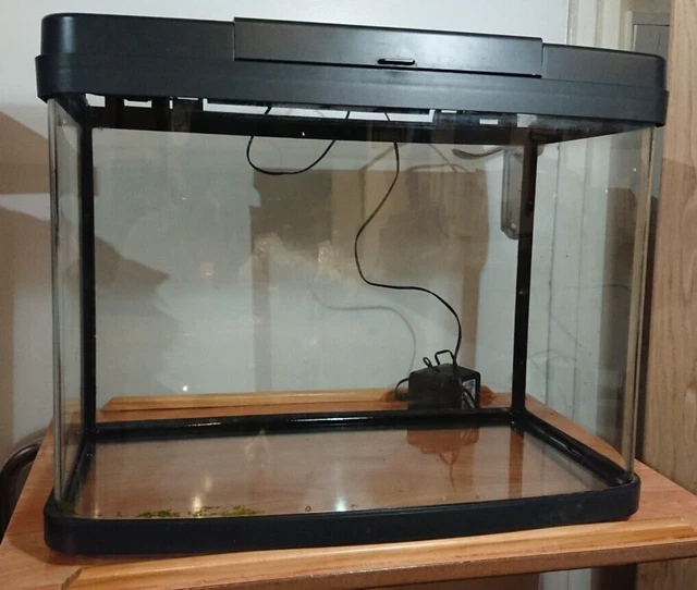 lidded fish tank with light
