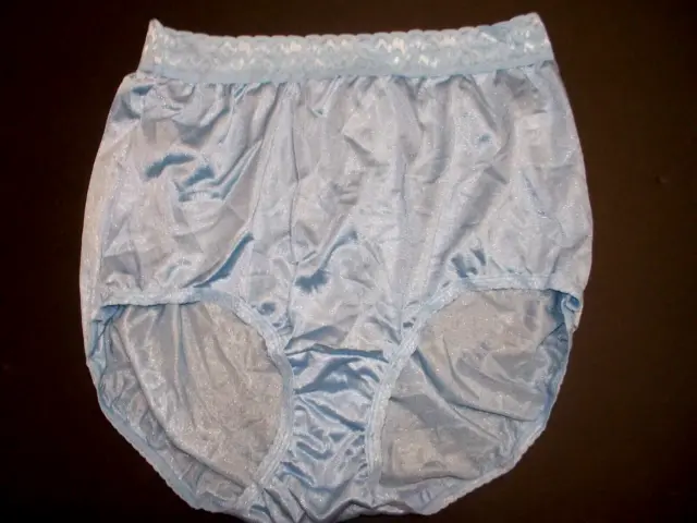 Vintage Hanes Shiny 100% Nylon El Salvador Full Panty Panties Briefs Pink  Size 9
