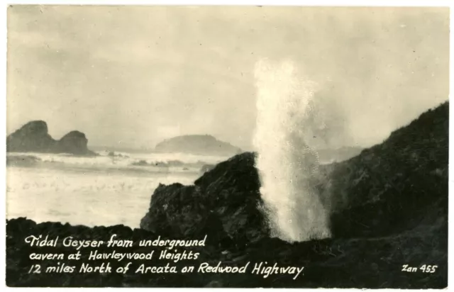 Tidal Geyser From Underground Cavern North Of Arcata, Redwood Highway Postcard