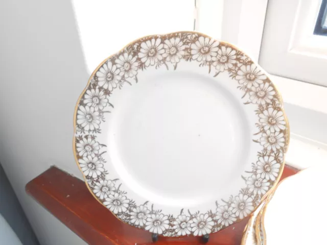 Roslyn china gold daisy's x 6 side plates 6.5 in across very attractive  lot new