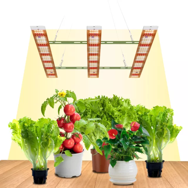 Phlizon LED Grow Light pflanzenlampe Zimmerpflanzen Indoor Seedling Veg Lights