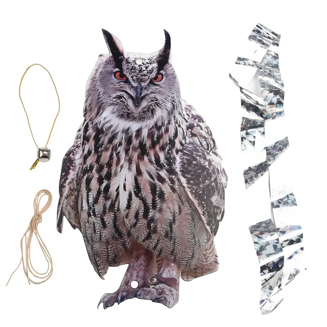 Achla Designs Eulen-Gartenstatue – Northern Saw Whet Eule, Lebensgroß, Antik-Bronze