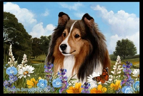 Summer Floor Mat - Sable Shetland Sheepdog Sheltie 39014