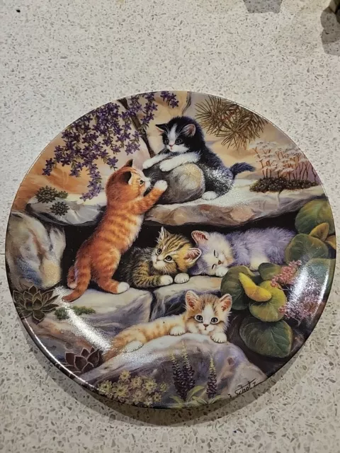 Kittens Cat Plate Collector Plate Kletterei im Steingarten