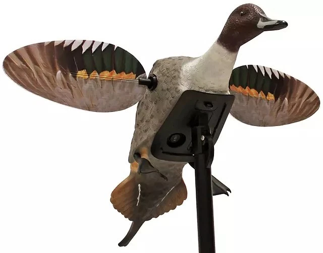 MOJO Outdoors Elite Series Pintail Decoy