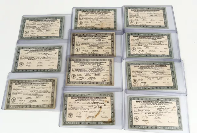 (11) BSA BOY SCOUT EAGLE BADGE CERTIFICATES 1920's NEW YORK CONNECTICUT