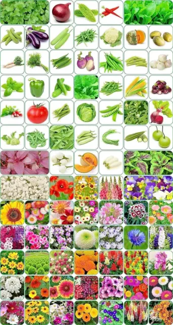 85 Varieties of Flowers Vegetable & Herbs Seeds For Kitchen Garden 5000+ Seeds