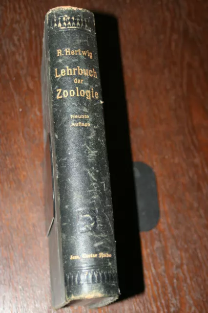 Lehrbuch der Zoologie - von Dr. Richard Hertwig