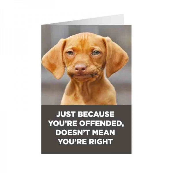 El perro adulto humor apenas porque le ofenden no significa que usted derecho