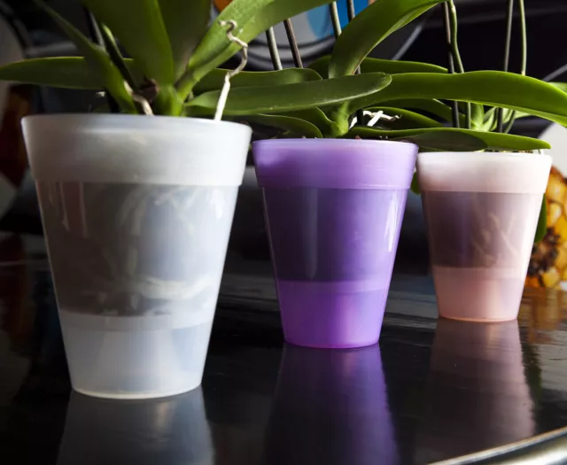 Vaso per Piante Orchidee Fiori Trasparente Colorato Moderno Dante Look Idel