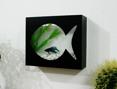 Modern Betta Fish Bowl Black - Desktop aquarium or Wall Mounted Fish Aquarium