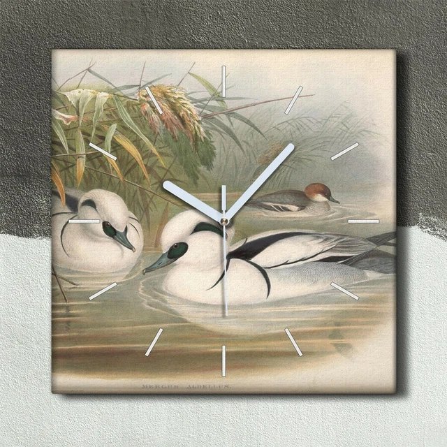 Orium 11248 – Orologio Da Parete Silenzioso Abylis, Vetro, Diametro 30 Cm, Leggibilità Fino A 20 M