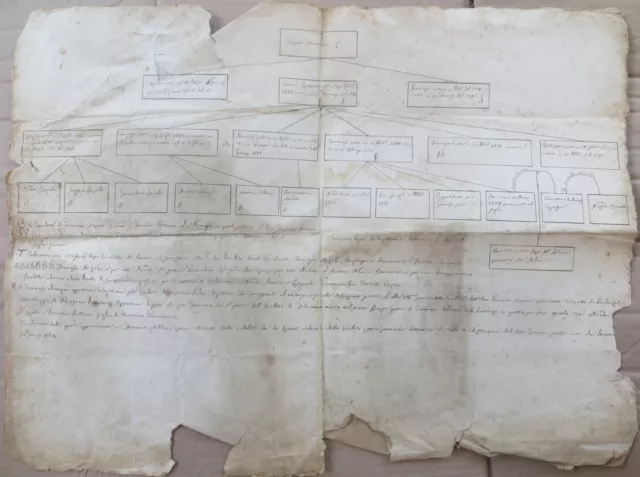1800Grande Carta Albero Genealogico Famiglia Giovanucci Postumo Spoltore Abruzzo