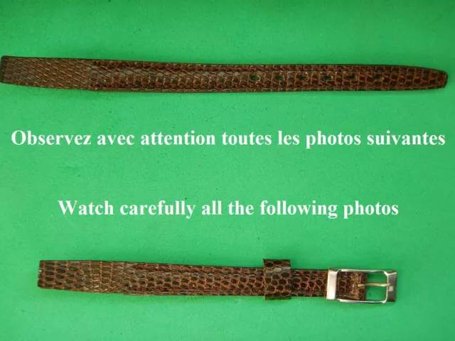 8 mm BRACELET LEZARD JAVA VÉRITABLE MARRON FONCÉ POUR ANSES FIXES SOUDÉES N.O.S.