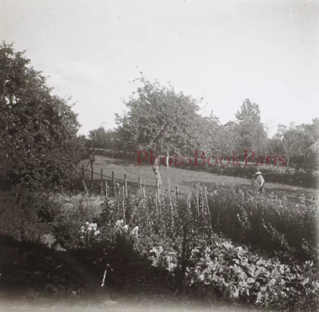 Paysage Jardin c1920 Photo Plaque de verre Stereo Vintage P30L8n7