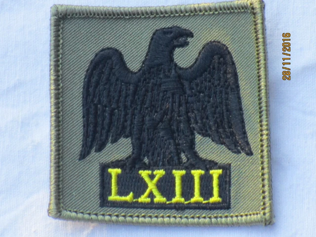 RAF REGIMENT, 63RD Squadron, Royal Air Force, Air Force, TRF, patch £7.