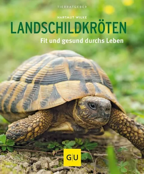 Landschildkröten: Fit und gesund durchs Leben Wilke, Hartmut: