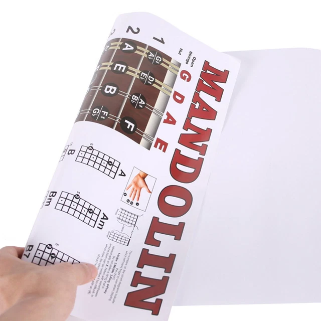 MANDOLIN CHORDS CHART 22.05''x15.75'' Wall Chart Note Chart Trainning ...