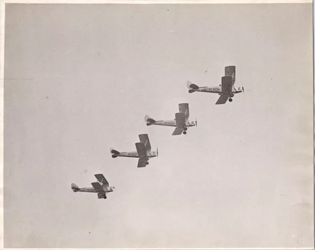 De Havilland Tiger Moth Formation Original Large Vintage Press Photo