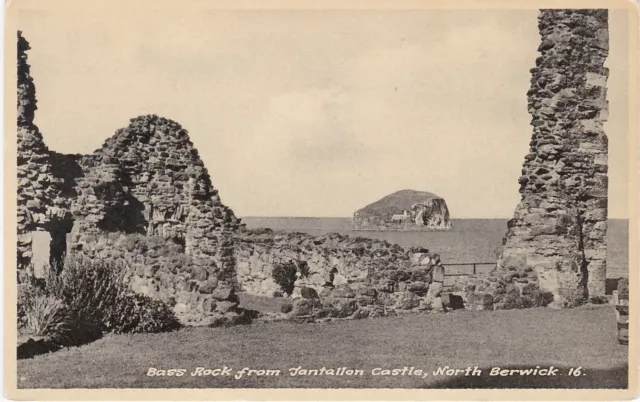 Bass Rock From Tantallon Castle, Nr NORTH BERWICK, East Lothian