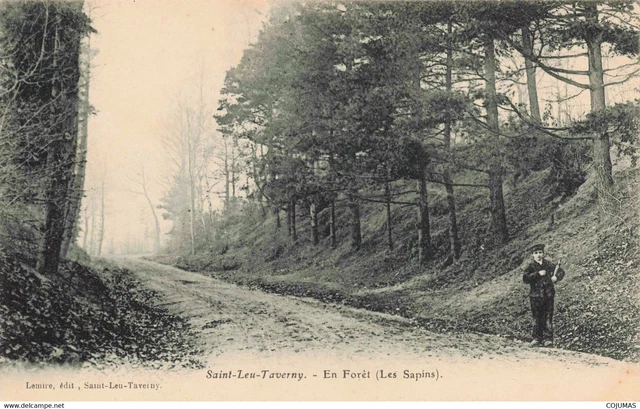 95 - SAINT LEU TAVERNY - S07992 - En For�t - Les Sapins - L14