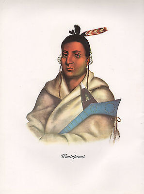 VINTAGE PRINT of 1830's NATIVE AMERICAN INDIAN ~ WAATOPENOT ~ CHIPPEWA