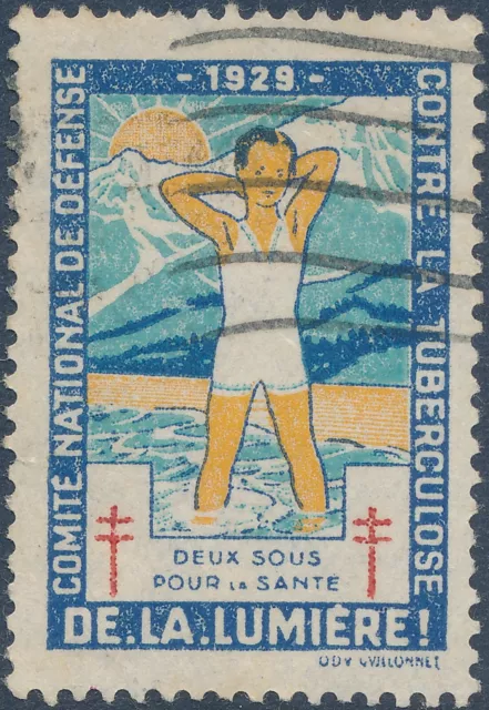 Stamp Label France Exposition 1929 Conquer Tuberculosis Cinderella Used