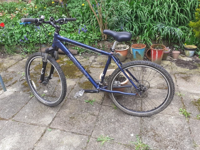 pinnacle peak 1.0 mountain bike