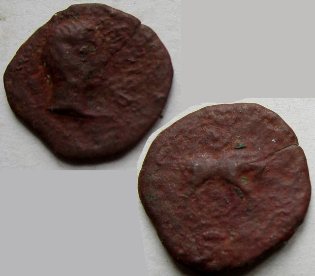 Monnaie gauloise quardans des Santons, bronze Contoutos louve à droite