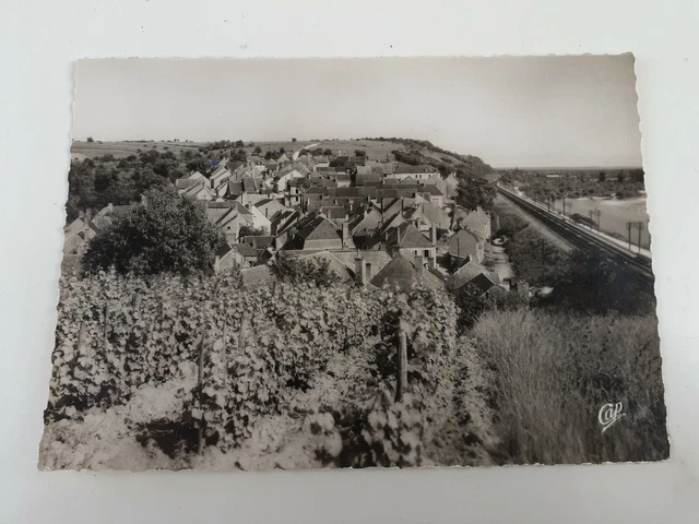 POUILLY - sur - LOIRE - Les Loger Vue generale postcard Real Photo Paris