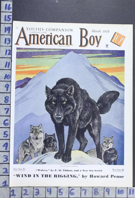 1935 Wolf Pack Arctic Wildlife Biology Zoology Illus Paul Bransom Cover Cov434
