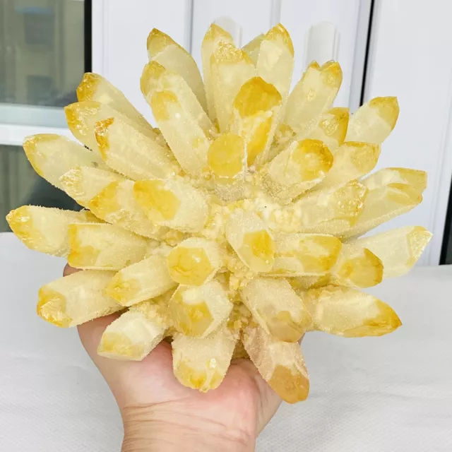 New Find Yellow Phantom Quartz Crystal Cluster Mineral Specimen Healing 2880G