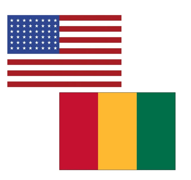 3'x5' Polyester USA & Guinea Flag Set; One Flag for Each Country