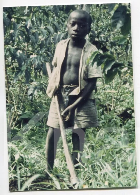 altes Foto Junge im Grünen in Belgisch Kongo 1956, 9x13cm