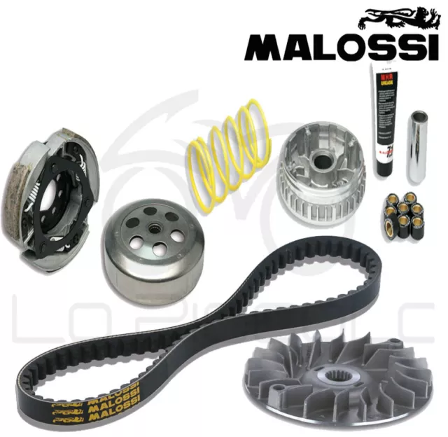 Malossi Set Code Komplett Yamaha majesty 250 Aprilia Leonardo 300