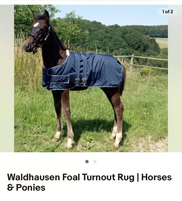 Foal Turnout Rug | Horses & Ponies 100g Adjustable 3.6ft-4.0ft Bnib