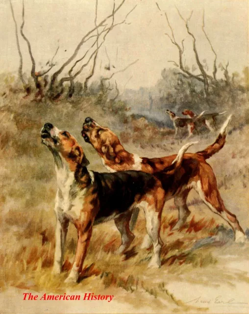 3444 Earl, Maud (1864-1943) - Power of the Dog 1910 - Foxhounds