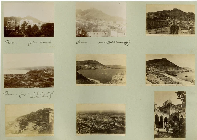 Geiser. Algérie, Jardin Vintage albumen print. Tirage albuminé 18x24 Ci