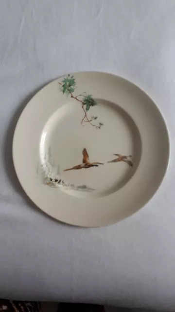 Royal Doulton 'The Coppice' Dinner Plate 26cm