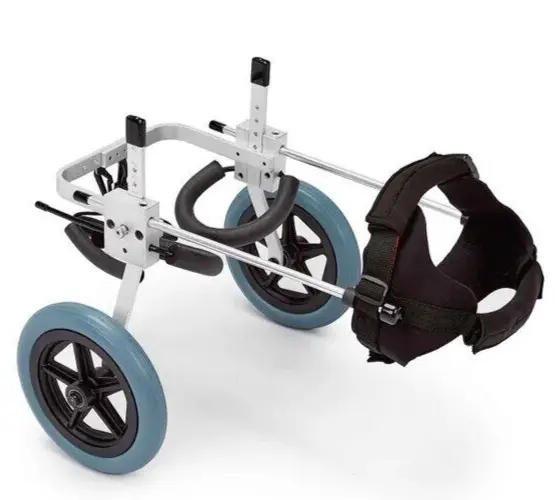 Best Friend Mobility™ Medium Dog Wheelchair Rear Leg Support