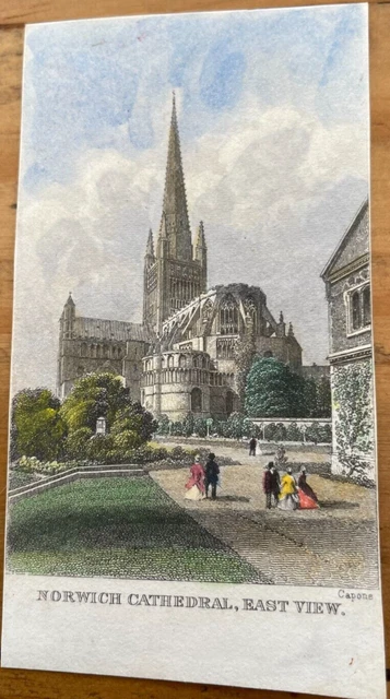 Antique Print Norwich Cathedral East View Norfolk C1860 Hand Coloured