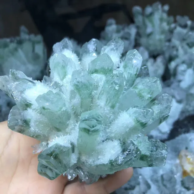 300g+  New Find Green Phantom Quartz Crystal Cluster Mineral Specimen Gem