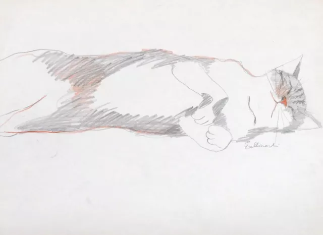 Eva ZIOLKOWSKI, aus meinem Skizzenbuch - Katze III - Zeichnung