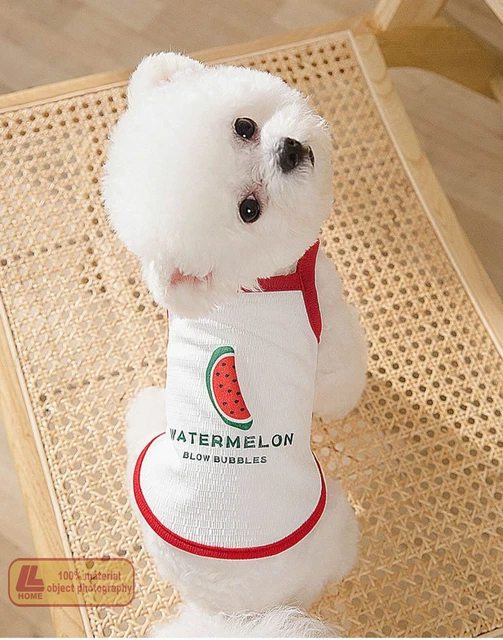 Mascota gato pequeño perro ropa oso de peluche perro lindo dibujos animados sandía estampado chaleco mascota